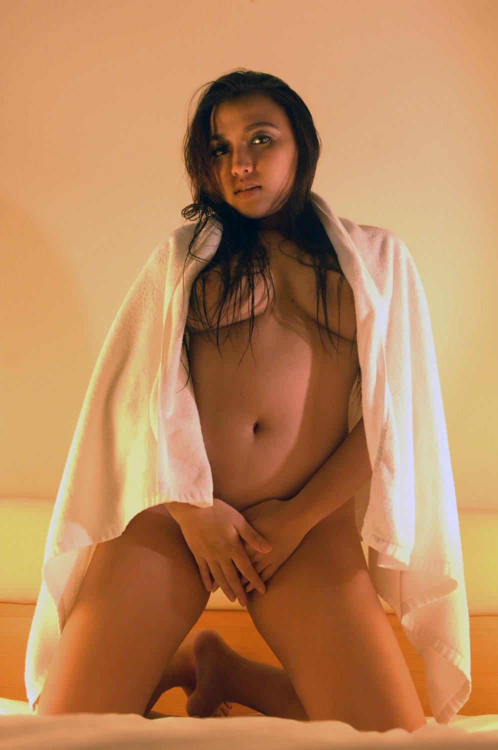 Model FV1 #DoOvYbSN